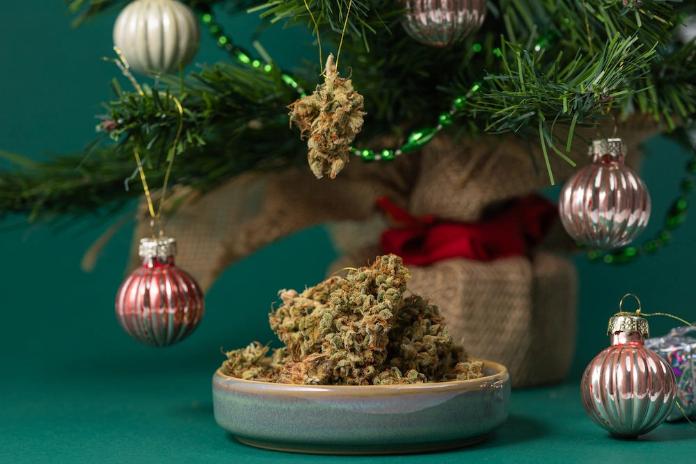 Cannabis flower underneath a Christmas tree.