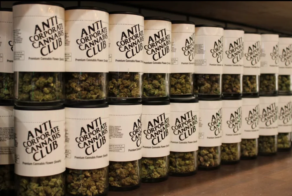 14g Anti Corporate Cannabis Club jars on Electric Avenue shelves.